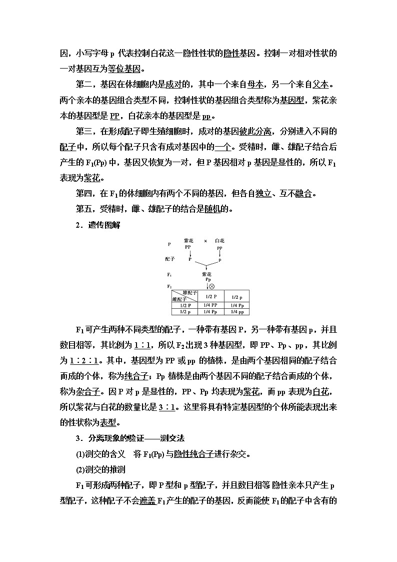 浙科版高中生物必修2遗传与进化第1章第1节孟德尔从一对相对性状的杂交实验中总结出分离定律学案第3页