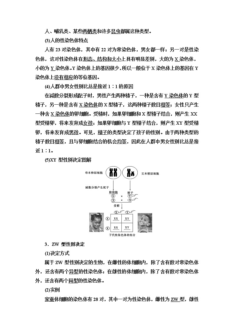 浙科版高中生物必修2遗传与进化第2章第3节性染色体上基因的传递和性别相关联学案02