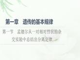 浙科版高中生物必修2遗传与进化第1章第1节孟德尔从一对相对性状的杂交实验中总结出分离定律课件