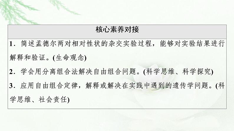 浙科版高中生物必修2遗传与进化第1章第2节孟德尔从两对相对性状的杂交实验中总结出自由组合定律课件第3页