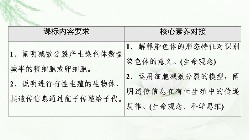 浙科版高中生物必修2遗传与进化第2章第1节染色体通过配子传递给子代课件02