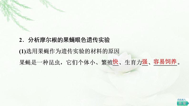 浙科版高中生物必修2遗传与进化第2章第2节基因伴随染色体传递课件08