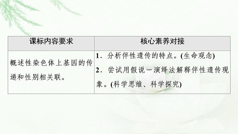 浙科版高中生物必修2遗传与进化第2章第3节性染色体上基因的传递和性别相关联课件02