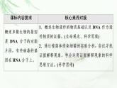浙科版高中生物必修2遗传与进化第3章第1节核酸是遗传物质课件