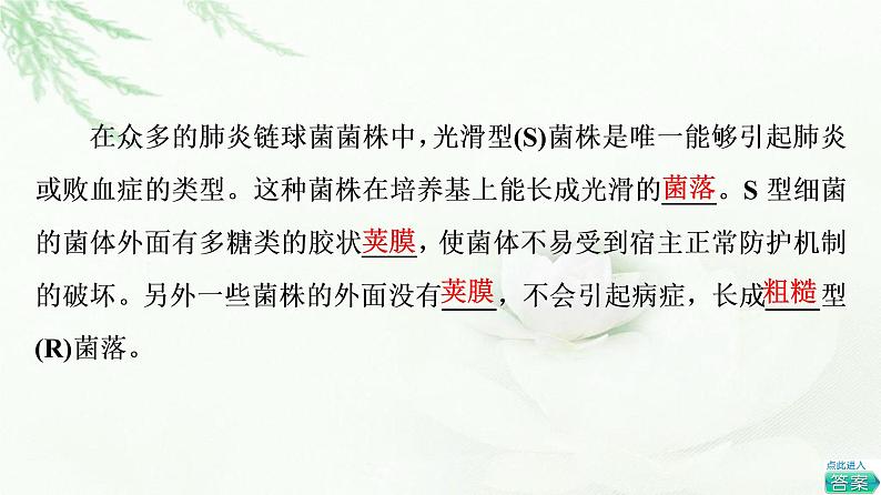 浙科版高中生物必修2遗传与进化第3章第1节核酸是遗传物质课件07