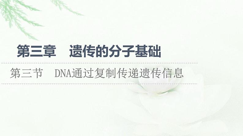 浙科版高中生物必修2遗传与进化第3章第3节DNA通过复制传递遗传信息课件第1页