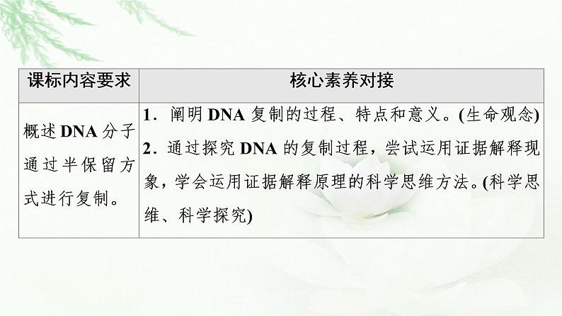 浙科版高中生物必修2遗传与进化第3章第3节DNA通过复制传递遗传信息课件第2页