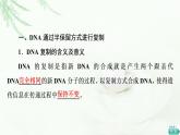浙科版高中生物必修2遗传与进化第3章第3节DNA通过复制传递遗传信息课件