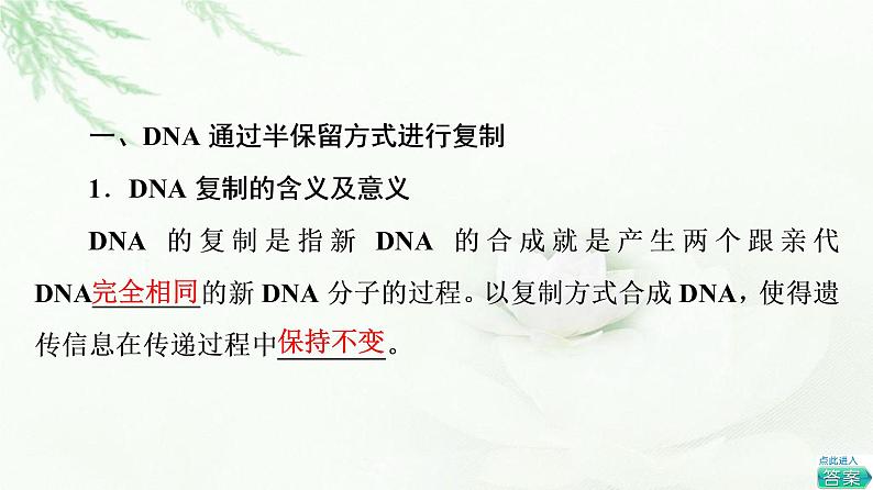 浙科版高中生物必修2遗传与进化第3章第3节DNA通过复制传递遗传信息课件第4页