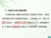 浙科版高中生物必修2遗传与进化第3章第3节DNA通过复制传递遗传信息课件