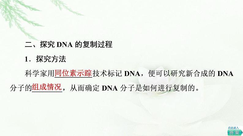 浙科版高中生物必修2遗传与进化第3章第3节DNA通过复制传递遗传信息课件第6页