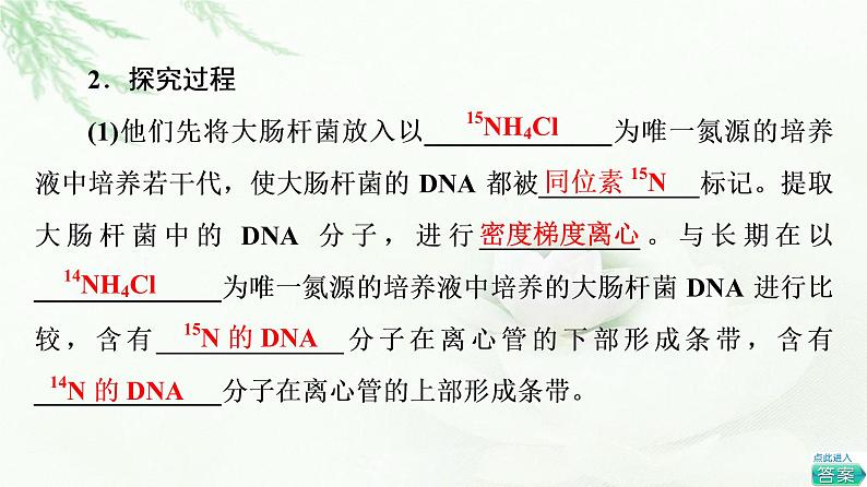 浙科版高中生物必修2遗传与进化第3章第3节DNA通过复制传递遗传信息课件第7页