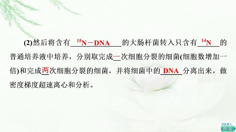 浙科版高中生物必修2遗传与进化第3章第3节DNA通过复制传递遗传信息课件第8页