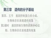 浙科版高中生物必修2遗传与进化第3章第4.5节第2课时基因控制生物性状和中心法则、生物体存在表观遗传现象课件