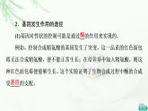 浙科版高中生物必修2遗传与进化第3章第4.5节第2课时基因控制生物性状和中心法则、生物体存在表观遗传现象课件
