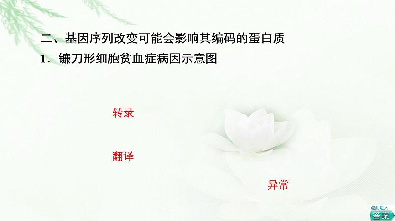 浙科版高中生物必修2遗传与进化第4章第1节基因突变可能引起性状改变课件第7页