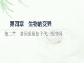 浙科版高中生物必修2遗传与进化第4章第2节基因重组使子代出现变异课件