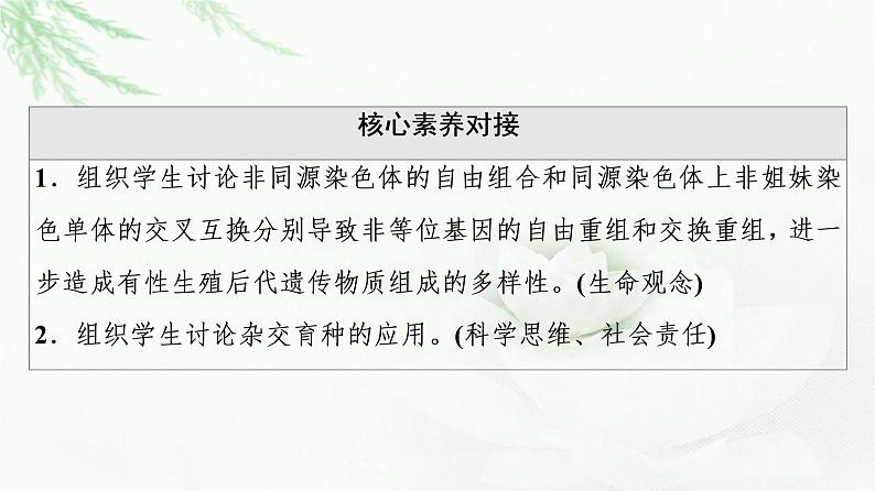 浙科版高中生物必修2遗传与进化第4章第2节基因重组使子代出现变异课件第3页