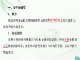 浙科版高中生物必修2遗传与进化第4章第3节染色体畸变可能引起性状改变课件