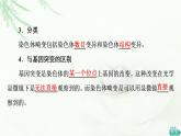 浙科版高中生物必修2遗传与进化第4章第3节染色体畸变可能引起性状改变课件
