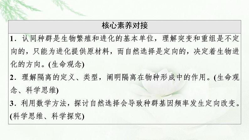 浙科版高中生物必修2遗传与进化第5章第2节适应是自然选择的结果课件03