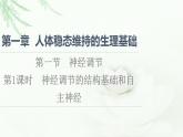 苏教版高中生物选择性必修1稳态与调节第1章第1节第1课时神经调节的结构基础和自主神经课件