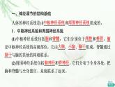 苏教版高中生物选择性必修1稳态与调节第1章第1节第1课时神经调节的结构基础和自主神经课件