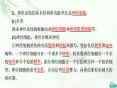 苏教版高中生物选择性必修1稳态与调节第1章第1节第1课时神经调节的结构基础和自主神经课件