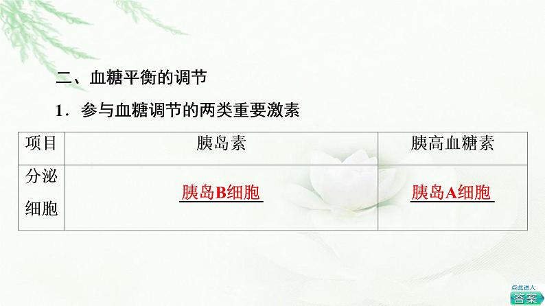 苏教版高中生物选择性必修1稳态与调节第2章第2节血糖平衡的调节课件05