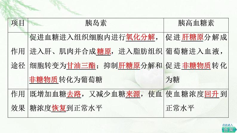 苏教版高中生物选择性必修1稳态与调节第2章第2节血糖平衡的调节课件06