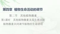 2020-2021学年第二节 其他植物激素图文课件ppt