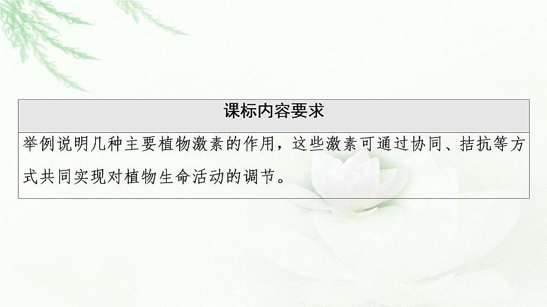 苏教版高中生物选择性必修1稳态与调节第4章第2节第1课时其他植物激素及其生理功能植物激素共同调节植物的生命活动课件02