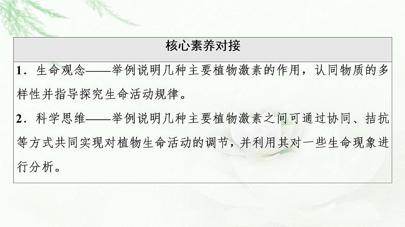 苏教版高中生物选择性必修1稳态与调节第4章第2节第1课时其他植物激素及其生理功能植物激素共同调节植物的生命活动课件03