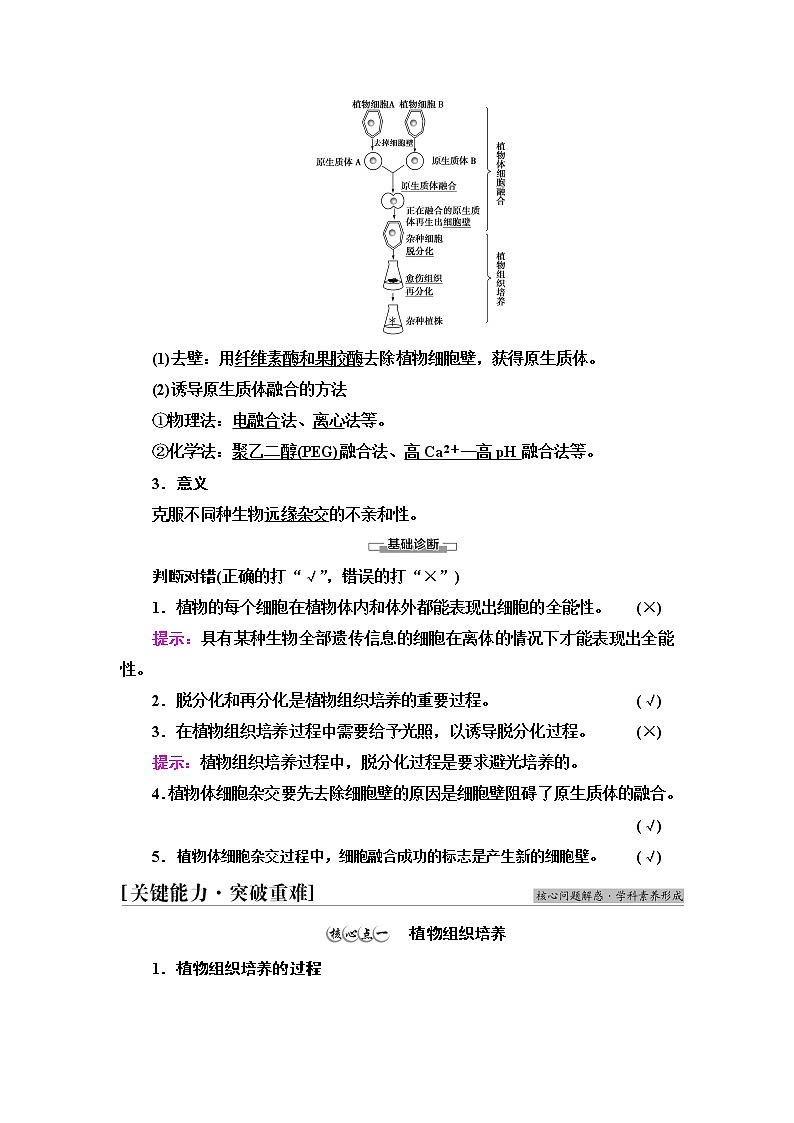 人教版高中生物选择性必修3生物技术与工程第2章第1节第1课时植物细胞工程的基本技术学案03