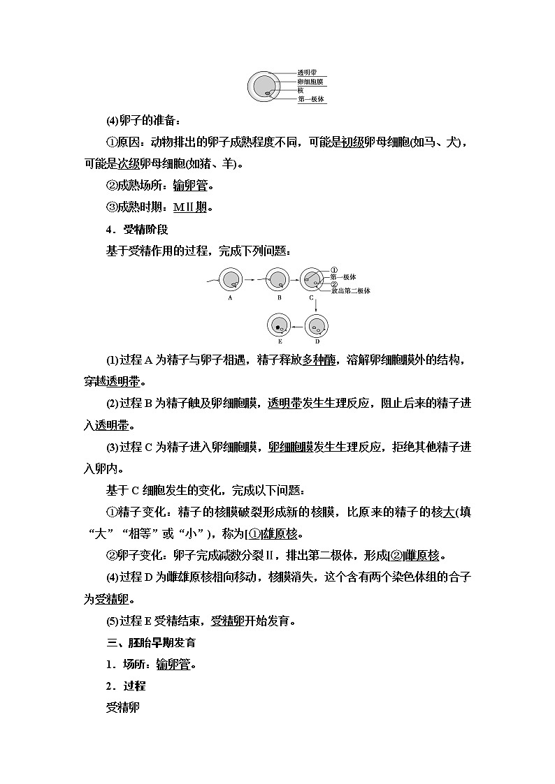 人教版高中生物选择性必修3生物技术与工程第2章第3节第1课时胚胎工程的理论基础学案02