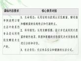 人教版高中生物选择性必修3生物技术与工程第1章第1节传统发酵技术的应用课件