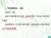 人教版高中生物选择性必修3生物技术与工程第1章第1节传统发酵技术的应用课件
