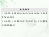 人教版高中生物选择性必修3生物技术与工程第1章第2节第1课时微生物的基本培养技术课件