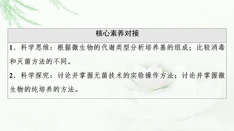 人教版高中生物选择性必修3生物技术与工程第1章第2节第1课时微生物的基本培养技术课件第3页