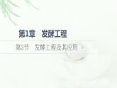 人教版高中生物选择性必修3生物技术与工程第1章第3节发酵工程及其应用课件