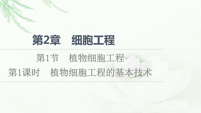 人教版高中生物选择性必修3生物技术与工程第2章第1节第1课时植物细胞工程的基本技术课件01