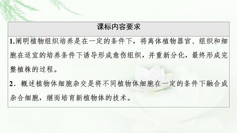 人教版高中生物选择性必修3生物技术与工程第2章第1节第1课时植物细胞工程的基本技术课件02