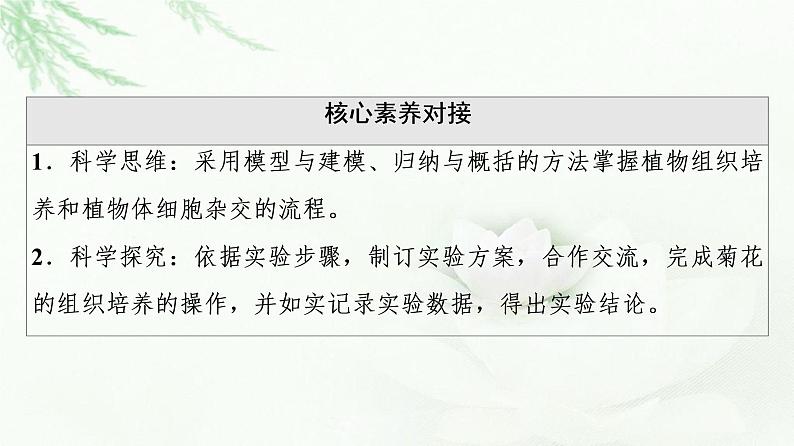 人教版高中生物选择性必修3生物技术与工程第2章第1节第1课时植物细胞工程的基本技术课件03