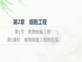 人教版高中生物选择性必修3生物技术与工程第2章第1节第2课时植物细胞工程的应用课件