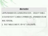 人教版高中生物選擇性必修3生物技術(shù)與工程第2章第2節(jié)第1課時動物細胞培養(yǎng)課件