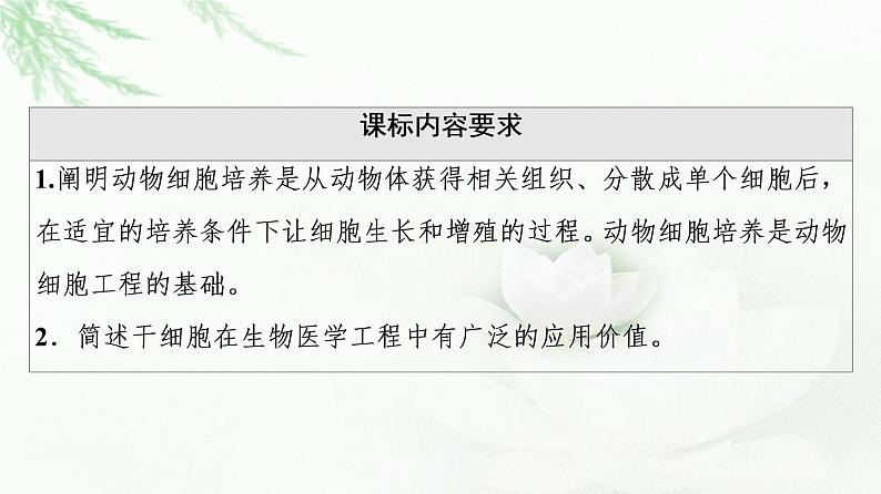 人教版高中生物选择性必修3生物技术与工程第2章第2节第1课时动物细胞培养课件02