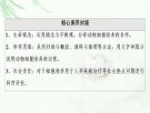 人教版高中生物選擇性必修3生物技術(shù)與工程第2章第2節(jié)第1課時動物細胞培養(yǎng)課件