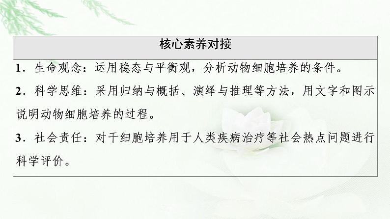 人教版高中生物选择性必修3生物技术与工程第2章第2节第1课时动物细胞培养课件03