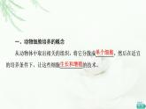 人教版高中生物選擇性必修3生物技術(shù)與工程第2章第2節(jié)第1課時動物細胞培養(yǎng)課件