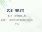 人教版高中生物选择性必修3生物技术与工程第2章第2节第2课时动物细胞融合技术与单克隆抗体课件